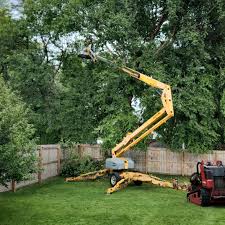 Superior, NE Tree Removal Company